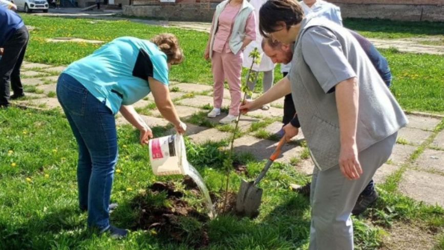 Понад дві сотні нових дерев висадили на території козятинської лікарні. ФОТО