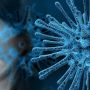 Більше 94 тисяч інфікованих в Україні: свіжі дані коронавірусу