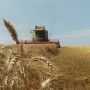 У Вінницькій області намолотили вже  400 тисяч тонн ранніх зернових