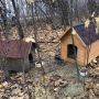 На ділянці траси Козятин-Вінниця біля Пляхової вкрали нову будку для собак. Шукають злочинців