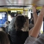 Призначають новий автобусний маршрут Козятин-Вівсяники (щоденно)