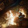 Пожежі в екосистемі: за добу вогонь опалив 13 гектар землі