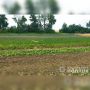 На Вінниччині у полі знайшли уламки збитого силами ППО ударного дрона