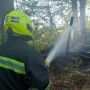 Вчора сталося 20 пожеж в екосистемі: горіло в усіх районах області
