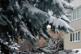 Вінниччину накрив антициклон зі Скандинавії