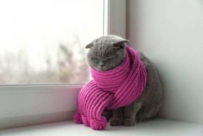 Погода готує несподіванку. В Україну йде похолодання з мокрим снігом