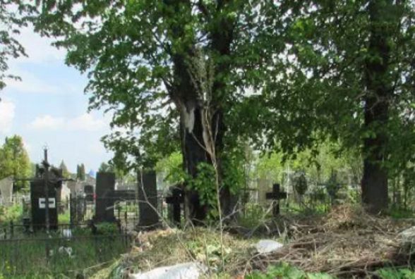 На кладовищі будуть різати дерева