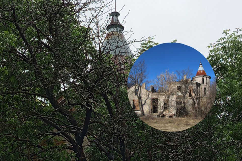 Маєток на Козятинщині, оповитий легендами: від розкішного палацу до контори колгоспу