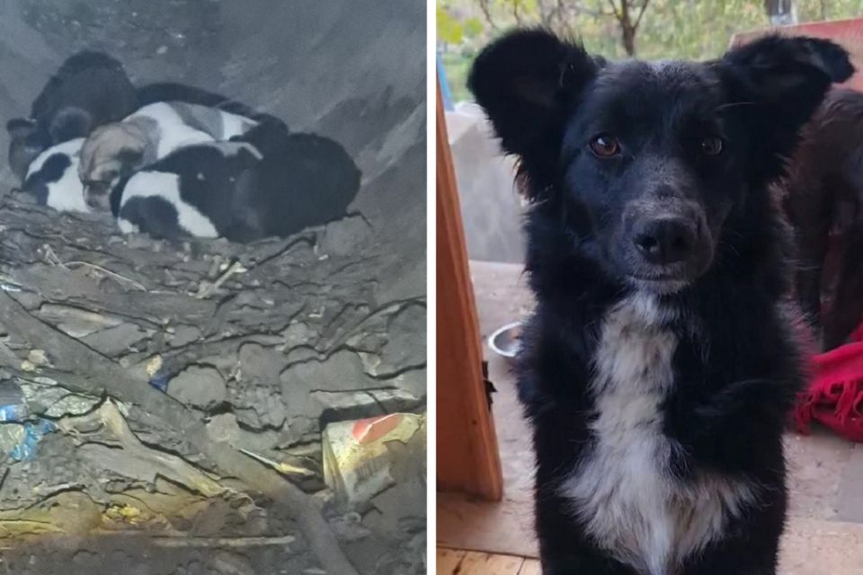 «Це вчинок людини з великим серцем»