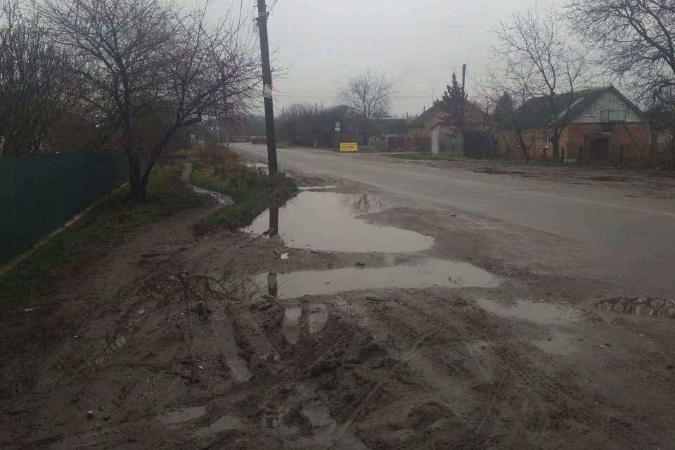 «Болота там, якщо сказати по-народному, то по коліна»