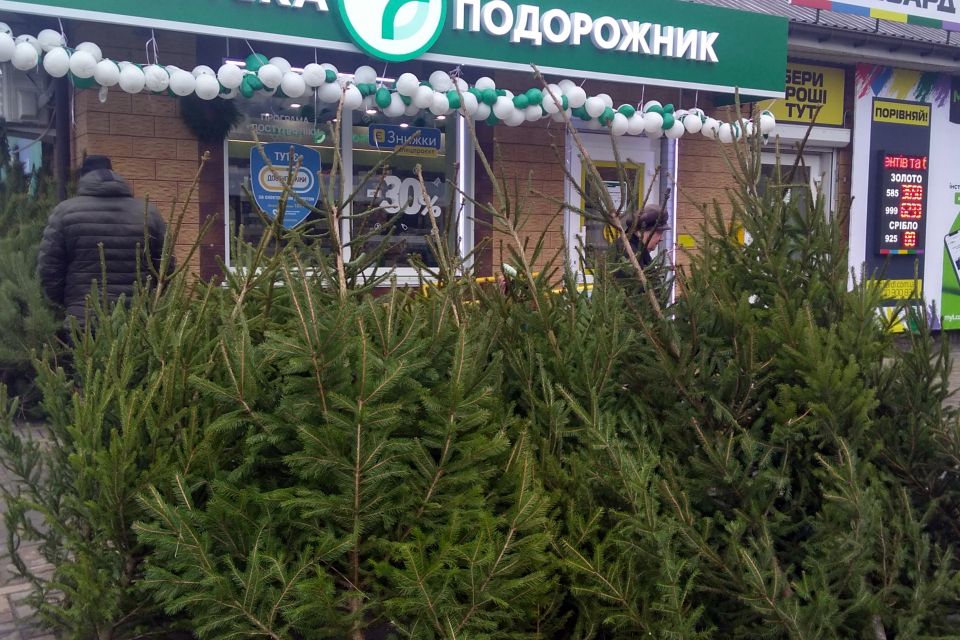 Суперова баранина, риба з азербайджанського моря та молоко з сірниками