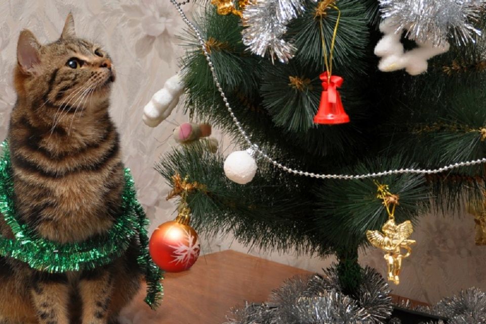 День мотивації і натхнення. Історія, прикмети та заборони 2 січня