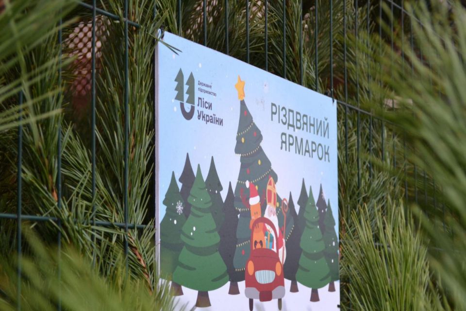 Понад 7 тисяч ялинок і понад мільйон гривень виторгу: підсумки свят на Вінниччині
