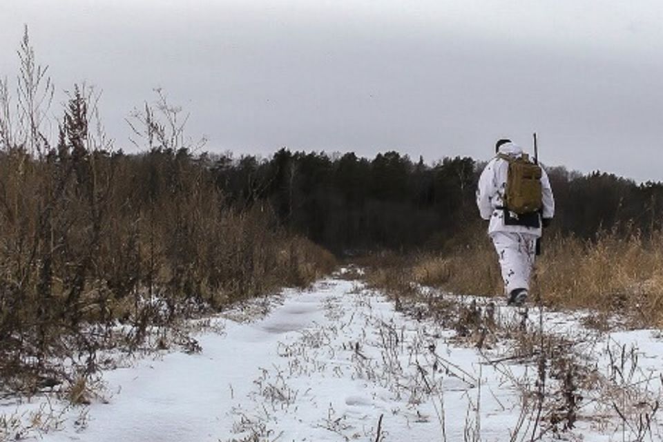 Постріли у лісах Козятинщини: лісівники попередили про велике полювання