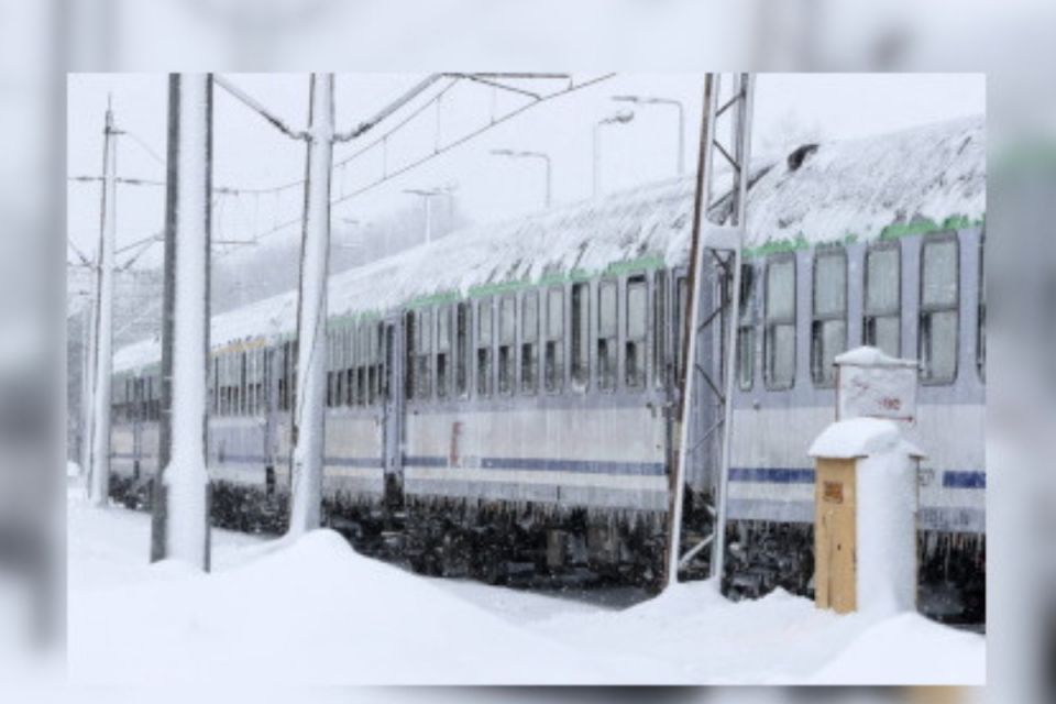 Дерево впало на вагон: аномальні погодні умови ускладнюють рух поїздів по всій країні