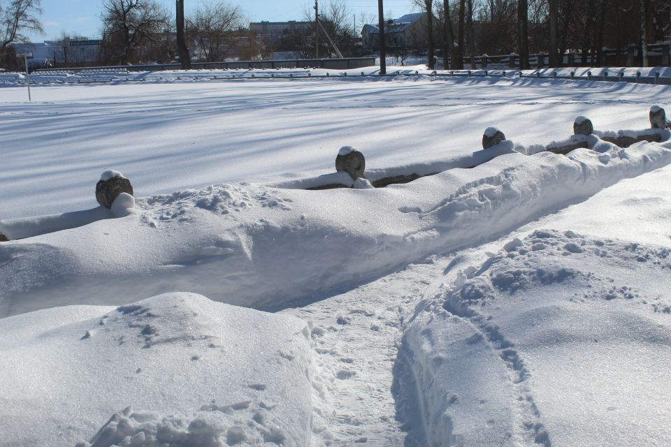 Енергетики на вишці, лижні спогади та собаче свавілля