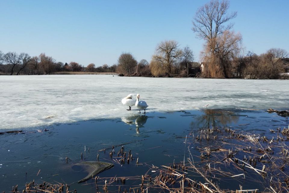 Вінниччина буде під впливом гребеня антициклону: про погоду на тиждень