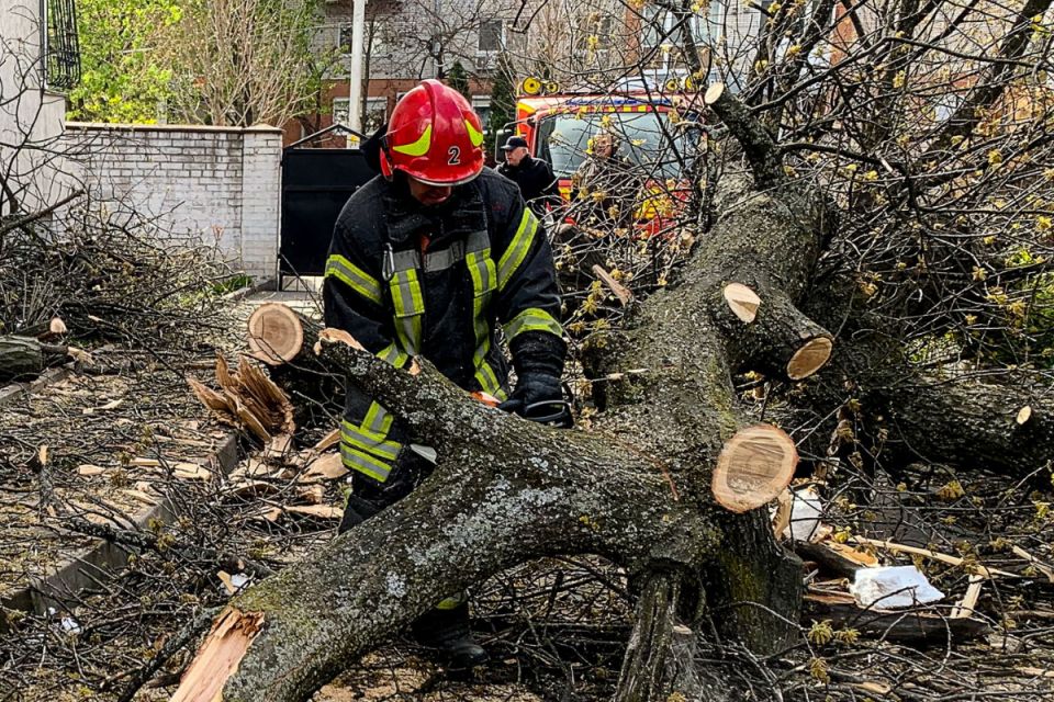 Дерева падали на машини та будинки: як область пережила руйнівний шторм