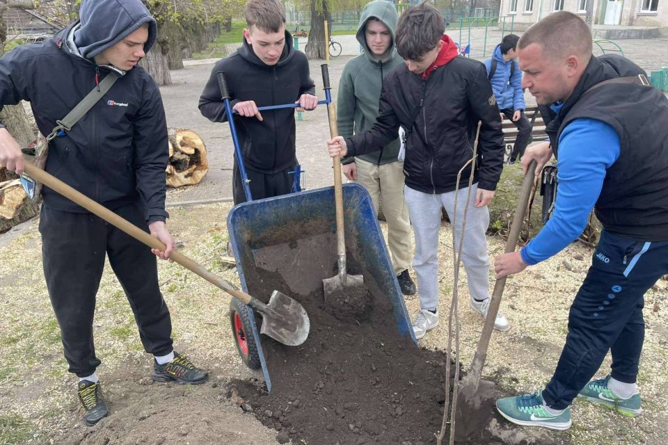 Подвір’я Глуховецького ліцею змінюється. Тут висадили сакури та катальпи