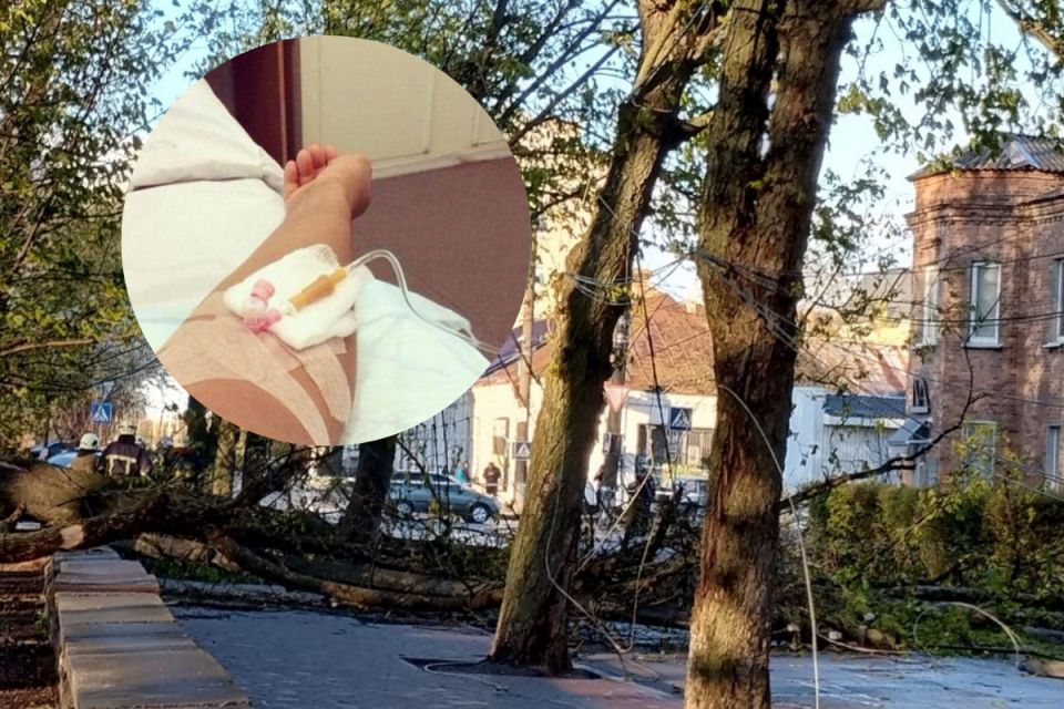 «Я встиг зробити ще кілька кроків». Поговорили з козятинчанином, на якого впав каштан