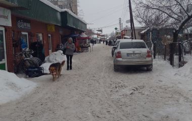 «Це в Луцьку є ферми по 130 голів. У нашому краю корови скоро будуть лише на картинці»