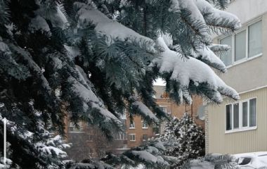 Вінниччину накрив антициклон зі Скандинавії