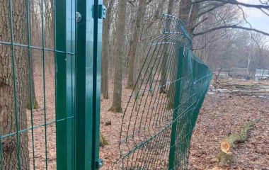 Фото з «личком» оприлюднять скоро: вандали пошкодили паркан шостої гімназії