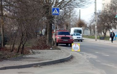 У Козятині почнуть активно працювати пилкою — обрізатимуть гілля дерев