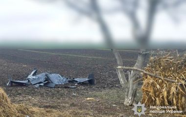 Після атаки на Вінниччину вибухотехніки знешкоджують бойові частини ворожих БпЛА