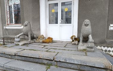 Аварійний РБК зацікавив інвесторів більше, ніж стоматцентр