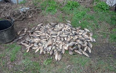 Масштабне порушення правил рибальства у районі: наловив риби на понад сім мільйонів гривень