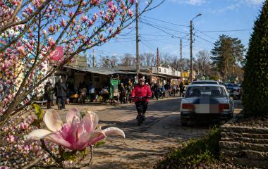 Кросворд «Весна в Козятині»