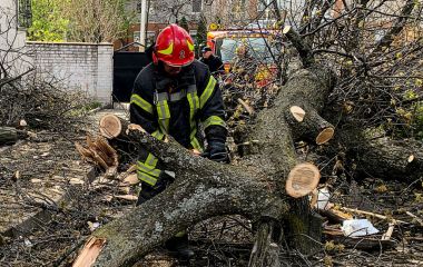 Дерева падали на машини та будинки: як область пережила руйнівний шторм