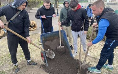 Подвір’я Глуховецького ліцею змінюється. Тут висадили сакури та катальпи