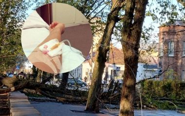 «Я встиг зробити ще кілька кроків». Поговорили з козятинчанином, на якого впав каштан