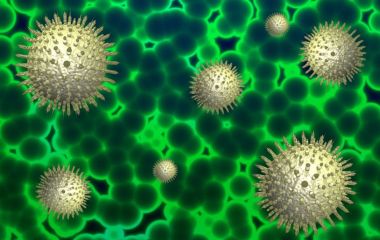 На Вінниччині зафіксували перший випадок субварінту COVID-19 «Цикада»