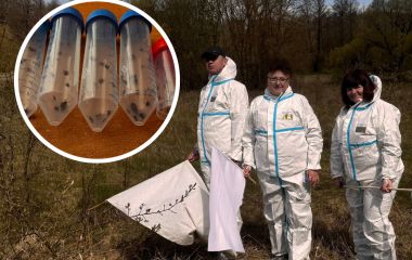 Рання активність кліщів: у чому причина і коли пік