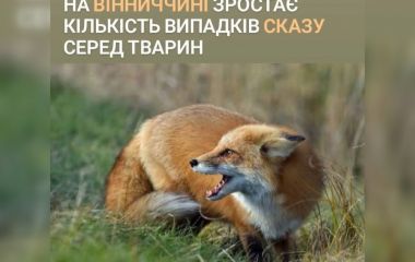 Кількість випадків сказу серед тварин зростає. Наш район — на  другому місці