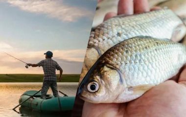 На водоймах Вінниччини завершилася нерестова заборона на вилов риби. Але не на всіх