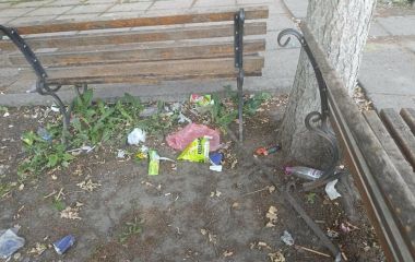 «В центрі міста зробили срач. А замість квітів — бур’яни»