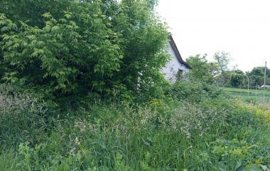 Продати землю в селі Козятині, де колись хотіли будувати дитячий садочок, не вдалося