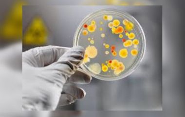 Вінниччину атакує небезпечна інфекція: троє померли, ще троє — захворіли
