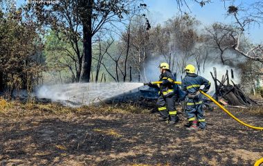 У Сестринівці вогонь із відкритої території перекинувся на господарську споруду та знищив її