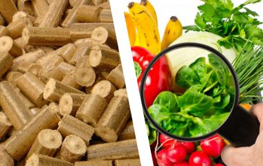 Заготовляли паливні брикети, замовляли перевірку безпечності продуктів у закладах освіти — закупівлі міської ради в серпні