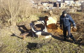 Пішов по воду і не повернувся