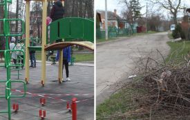 Про лісосмугу-«сироту», гілля та відремонтовану добродієм дорогу