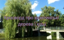 Кросворд про козятинські дерева і кущі