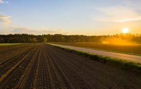 У Козятинській громаді прокуратура припинила «безоплатну» оренду 12 га землі