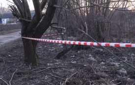 Майструючи хатинку, діти знайшли не дитячу іграшку