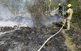 У Кордишівці чоловіка, який підпалив суху траву, притягнули до відповідальності